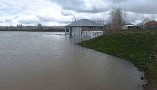 Ağrı'da evleri su bastı: Sağanak taşkına neden oldu 