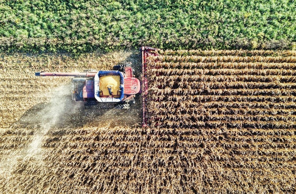 Yerli bilgisi ve iklim 2