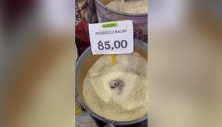 Markette satılan pirin&ccedil;te kedi dışkısı! G&ouml;r&uuml;nt&uuml;ler g&uuml;ndem oldu