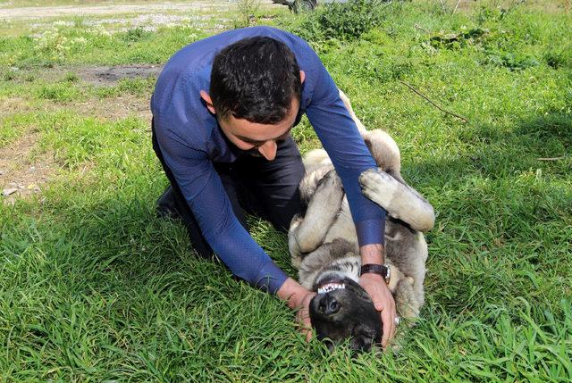 Köpeğinin doğum gününü 5 katlı pastayla kutladı