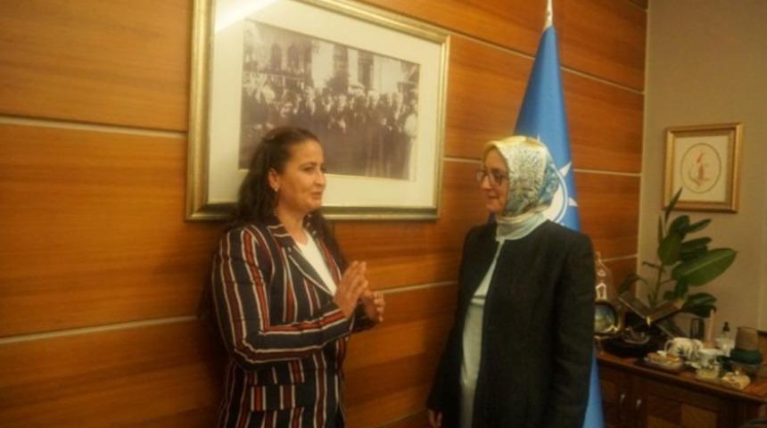 AK Parti Ankara Milletvekili Lütfiye Selva Çam'dan erken seçim açıklaması: Bizi de şaşırttı