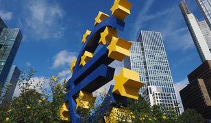 Avro B&ouml;lgesi'nde kamu borcunun GSYH'ye oranı a&ccedil;ıklandı