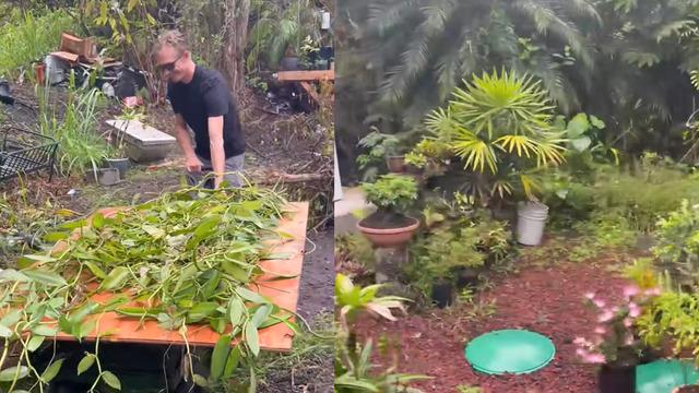 Ormanda temizlik yaparken buldu! Meğer değeri servetmiş