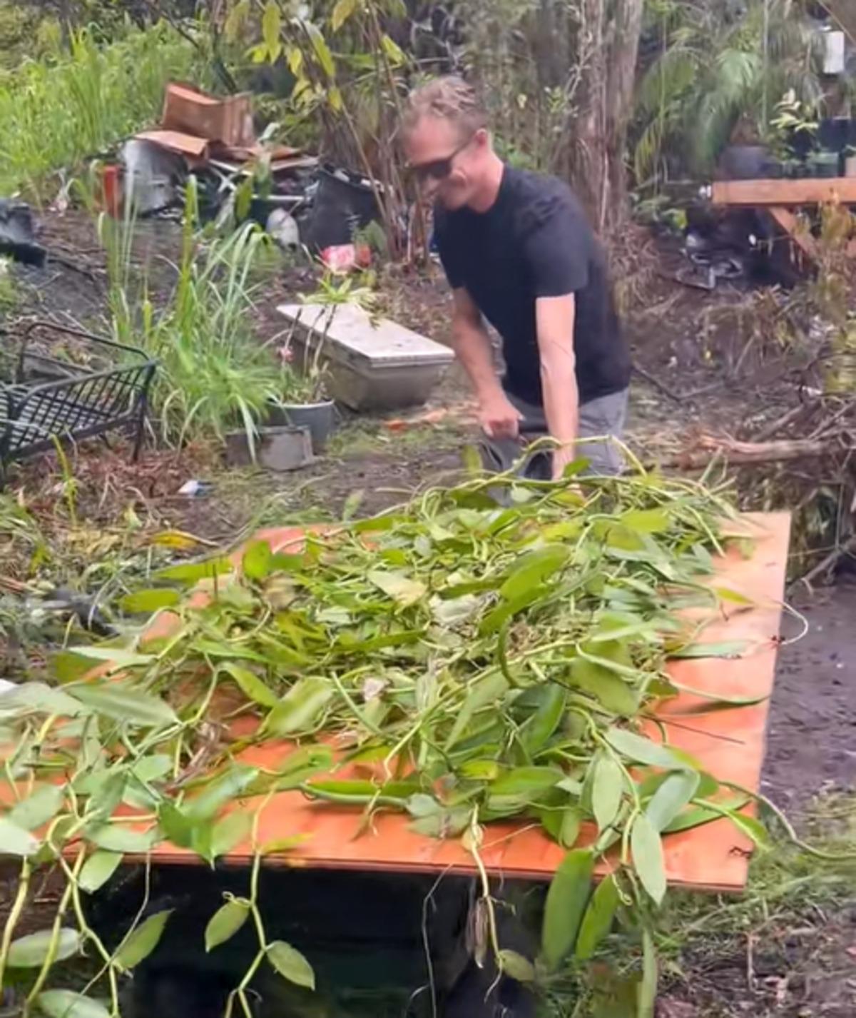 Ormanda temizlik yaparken buldu! Meğer değeri servetmiş 1