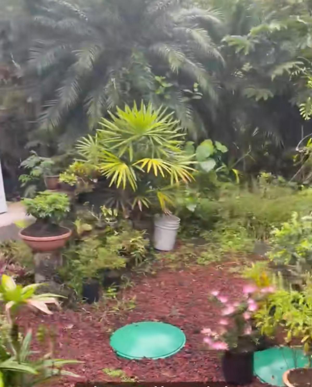 Ormanda temizlik yaparken buldu! Meğer değeri servetmiş 2