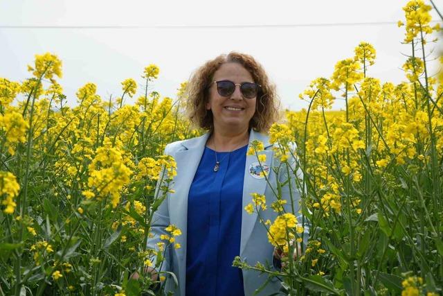 Tekirdağ sarıya büründü: Kanola tarlaları kartpostallık manzaralar oluşturdu 2