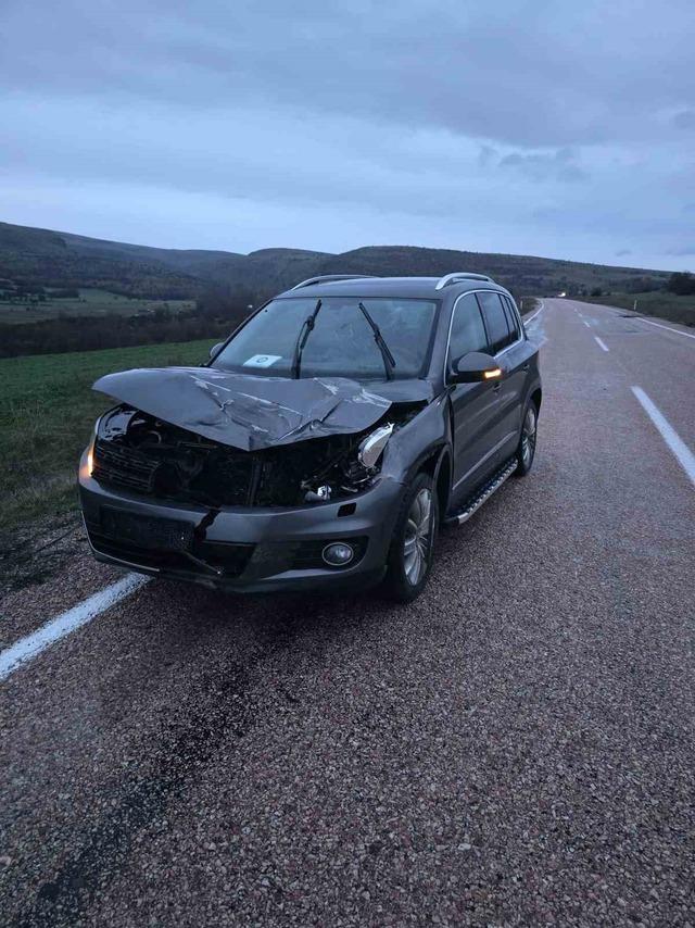 Ankara&rsquo;da aracın &ccedil;arptığı geyik telef oldu 2