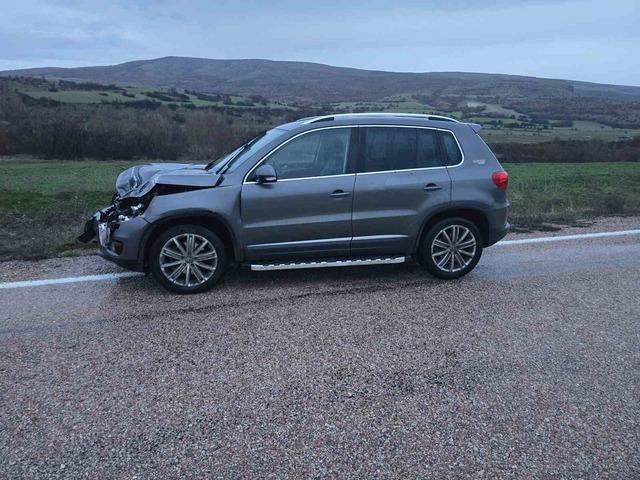 Ankara&rsquo;da aracın &ccedil;arptığı geyik telef oldu 1