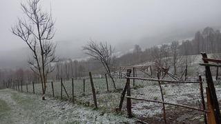 Sakarya'nın yüksek kesimleri beyaza büründü