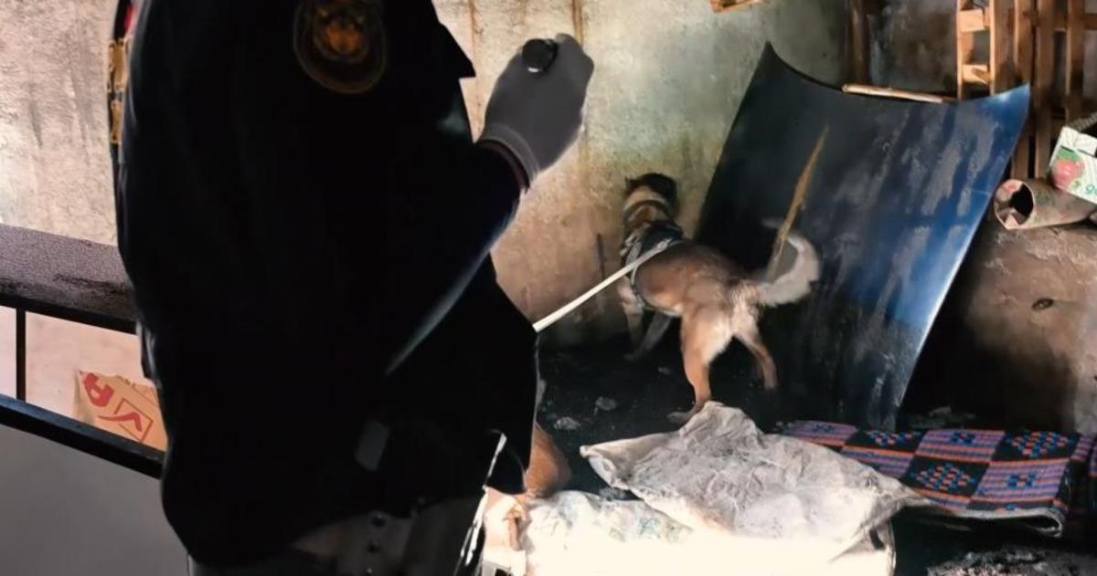 Muş ta narkotik operasyonu: 9 ş&uuml;pheliye adli işlem 2