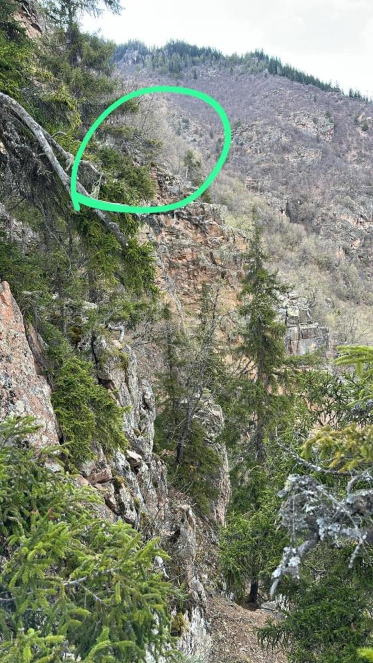 Artvin&rsquo;de yaylada d&uuml;şerek yaralanan vatandaş helikopterle kurtarıldı 1