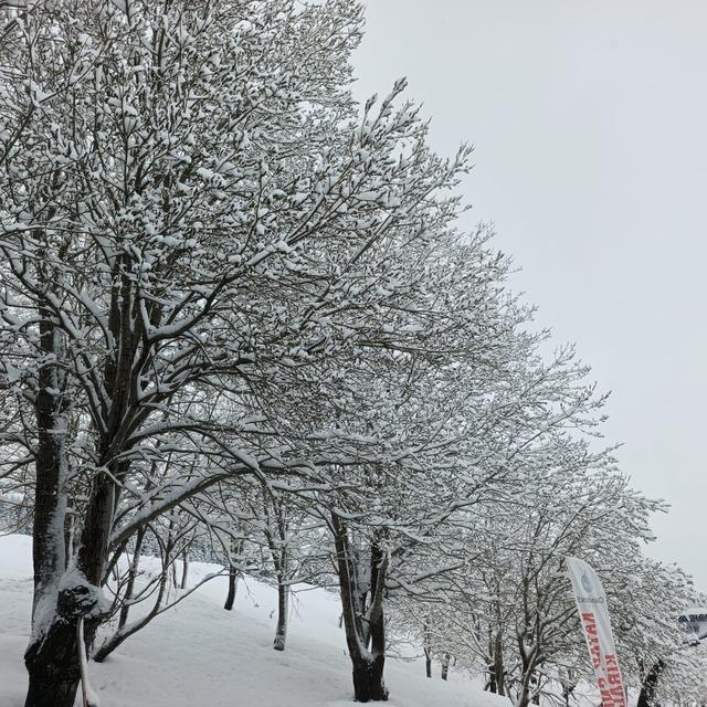 Nisan sonunda Uludağ&rsquo;da kış geri d&ouml;nd&uuml; 2