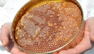 Yeni d&uuml;zenleme yolda: 'İlk kez olacak' Uygunsuz &uuml;r&uuml;n engellenecek