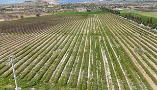 Beklenti arttı, hazırlıklar başladı: Yurt dışında da alıcısı &ccedil;ok