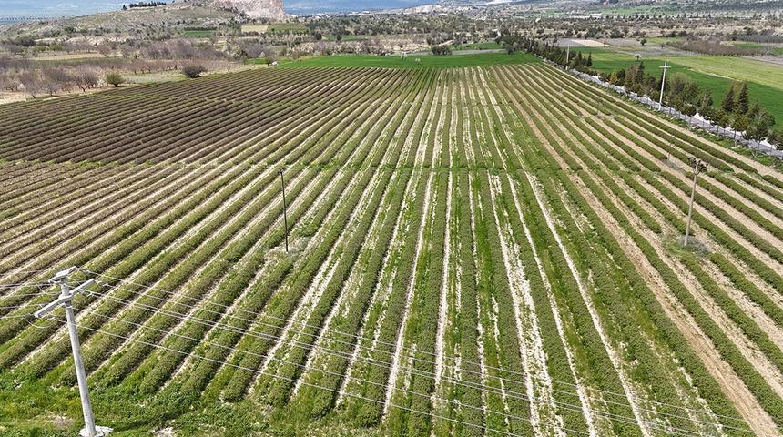 Beklenti arttı, hazırlıklar başladı: Yurt dışında da alıcısı &ccedil;ok