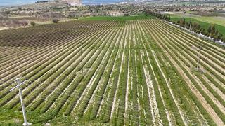 Beklenti arttı, hazırlıklar başladı: Yurt dışında da alıcısı çok