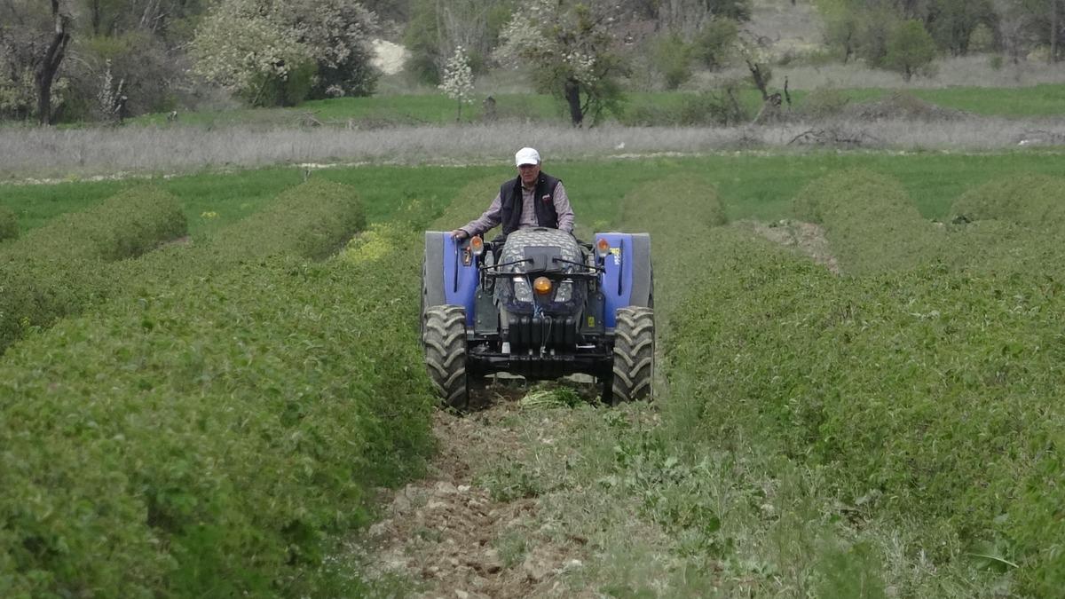 Beklenti arttı, hazırlıklar başladı: Yurt dışında da alıcısı &ccedil;ok 2