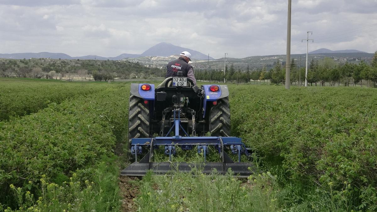Beklenti arttı, hazırlıklar başladı: Yurt dışında da alıcısı &ccedil;ok 5