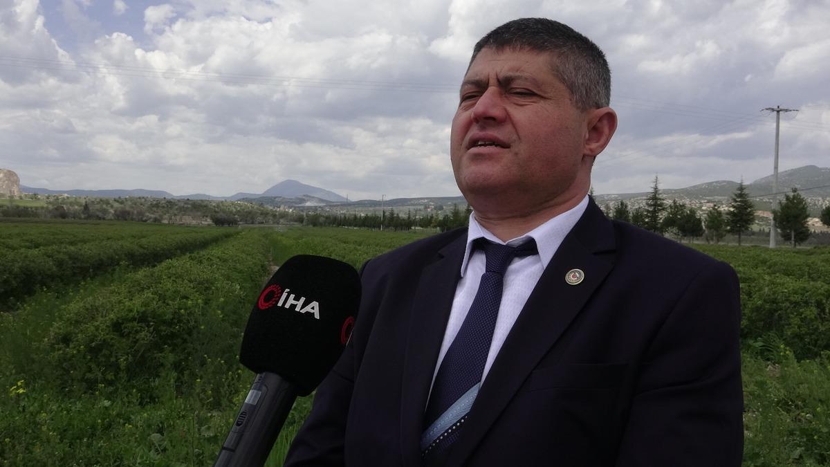 Beklenti arttı, hazırlıklar başladı: Yurt dışında da alıcısı &ccedil;ok 6