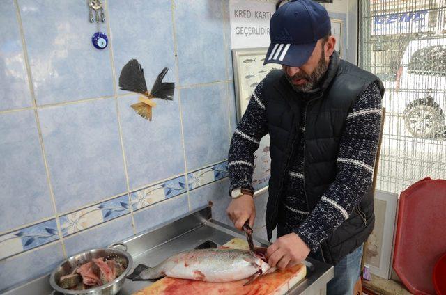 Tezgahları havuz balıkları süslüyor