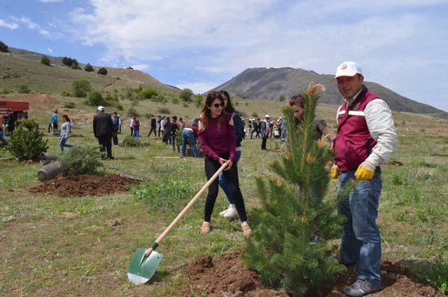 Turizm Haftasında fidan dikimi yapıldı