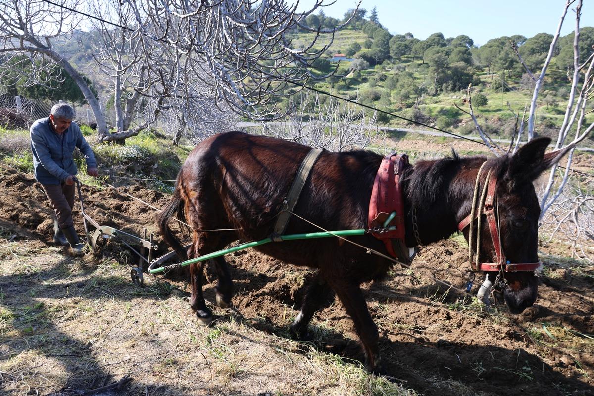 Gen&ccedil;ler terk edince iş onlara kaldı: Arazilerinin akıbetini bilmiyorlar 2