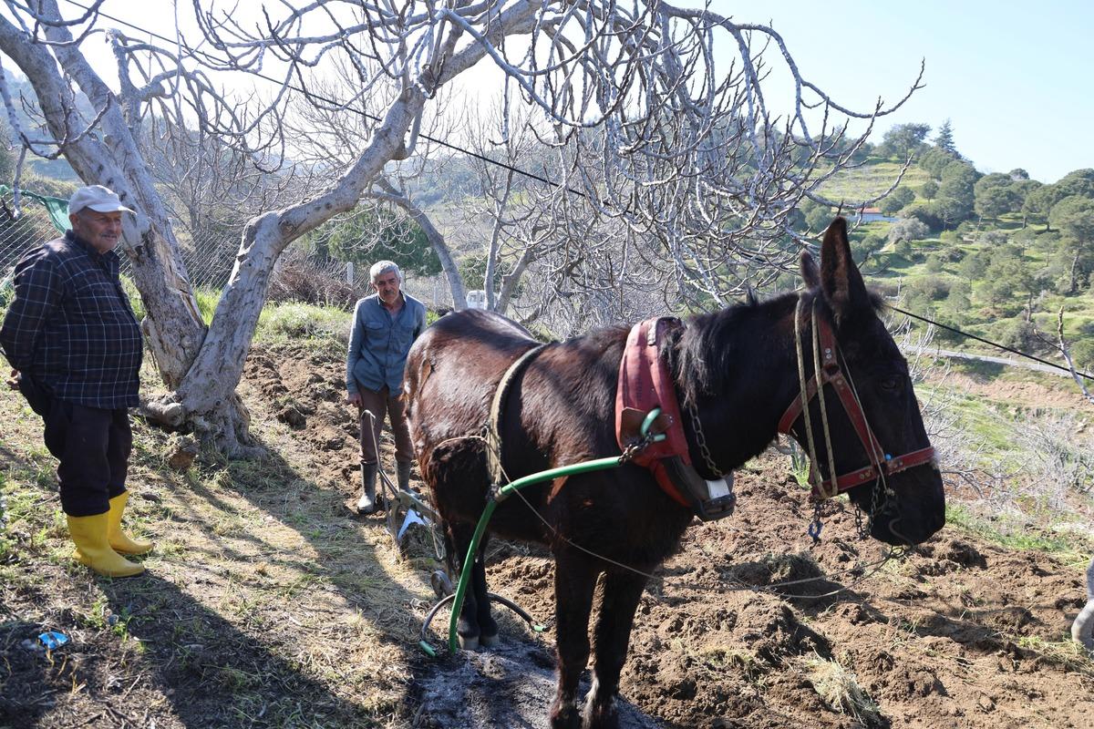 Gen&ccedil;ler terk edince iş onlara kaldı: Arazilerinin akıbetini bilmiyorlar 3