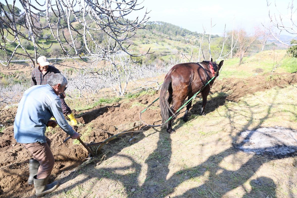 Gen&ccedil;ler terk edince iş onlara kaldı: Arazilerinin akıbetini bilmiyorlar 4