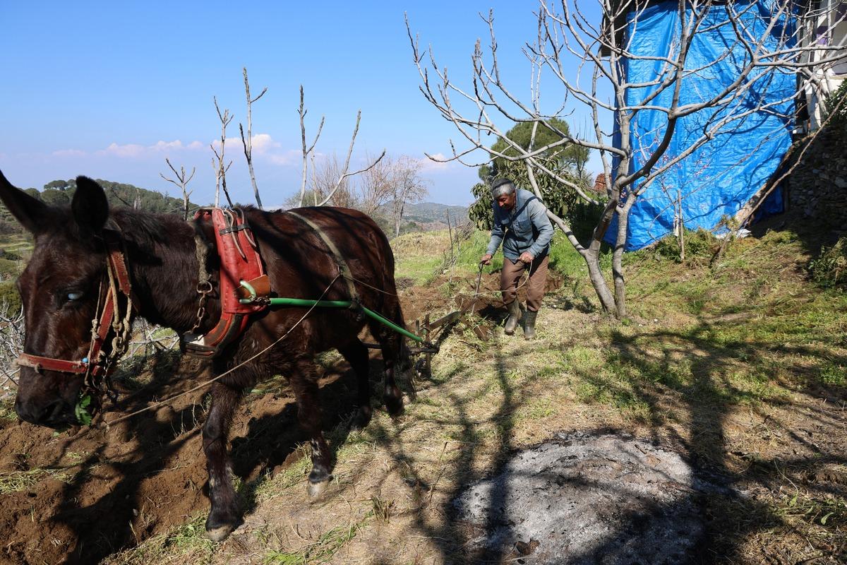 Gen&ccedil;ler terk edince iş onlara kaldı: Arazilerinin akıbetini bilmiyorlar 1