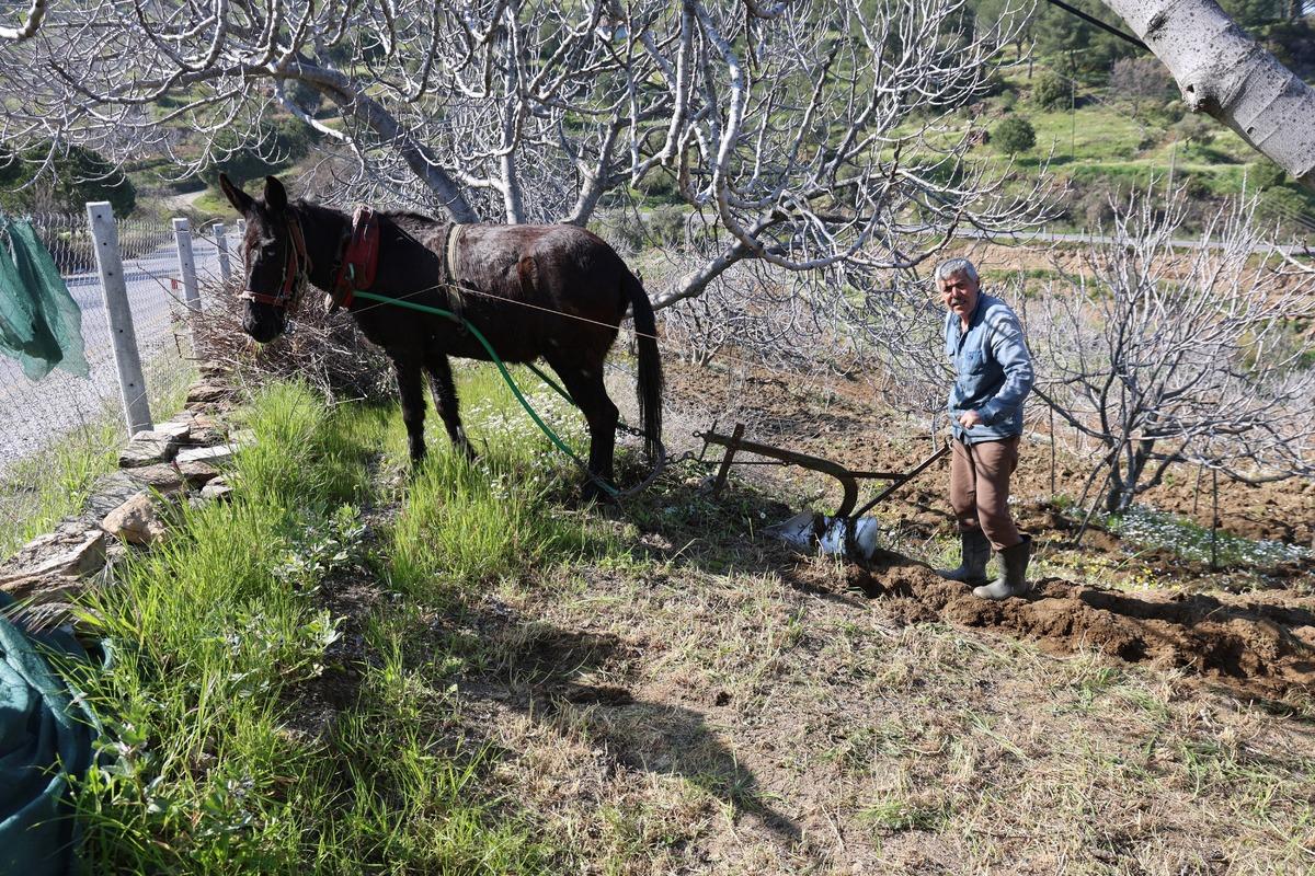 Gen&ccedil;ler terk edince iş onlara kaldı: Arazilerinin akıbetini bilmiyorlar 5