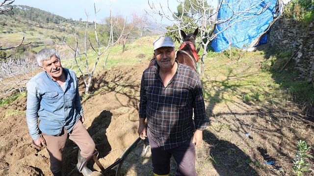Gençler terk edince iş onlara kaldı: Arazilerinin akıbetini bilmiyorlar