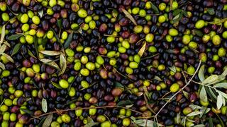 En sağlıklı zeytin açıklandı: Siyah mı yeşil mi? 