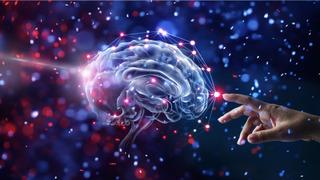 Bilim insanları açıkladı! Düşük zekaya sahip insanların tek ortak özelliği belli oldu