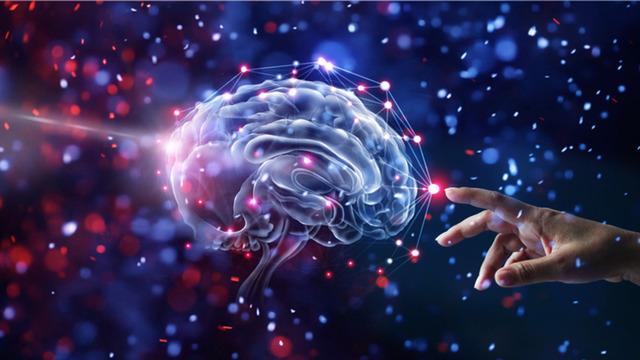 Bilim insanları açıkladı! Düşük zekaya sahip insanların tek ortak özelliği belli oldu