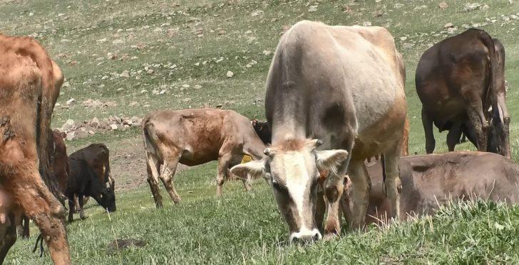 60 bin lira maaşla eleman bulamıyorlar G2