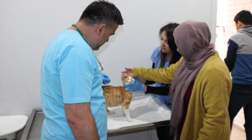 İğrenç olay! Kediye tecavüz etti