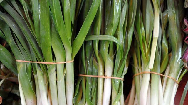 En güzel ot yemeği belli oldu! 