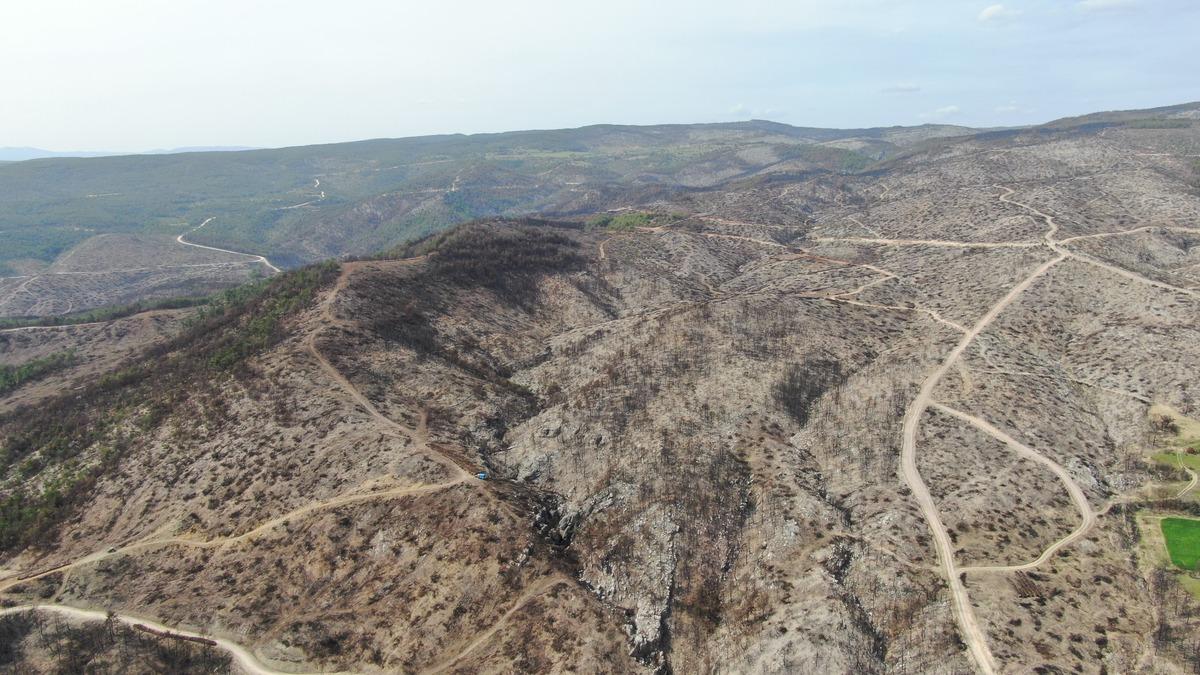 Yanan ormanlık alanda ortaya &ccedil;ıktı! K&ouml;yl&uuml;lerin gelir kaynağı oldu 2