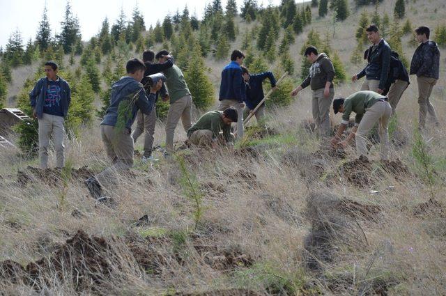 Yahşihan 2 bin 500 fidana daha kavuştu