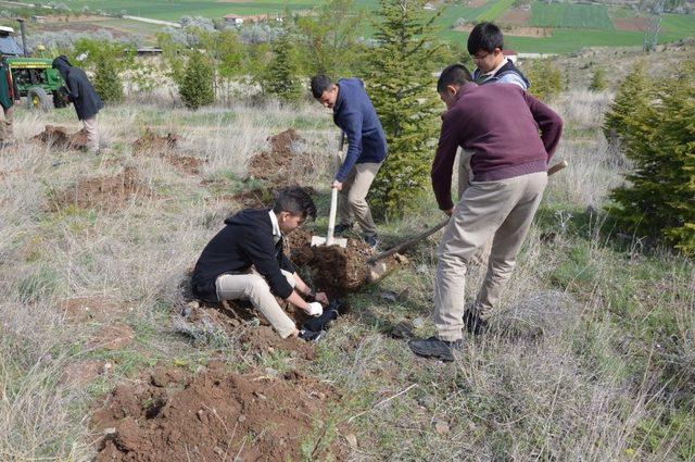 Yahşihan 2 bin 500 fidana daha kavuştu