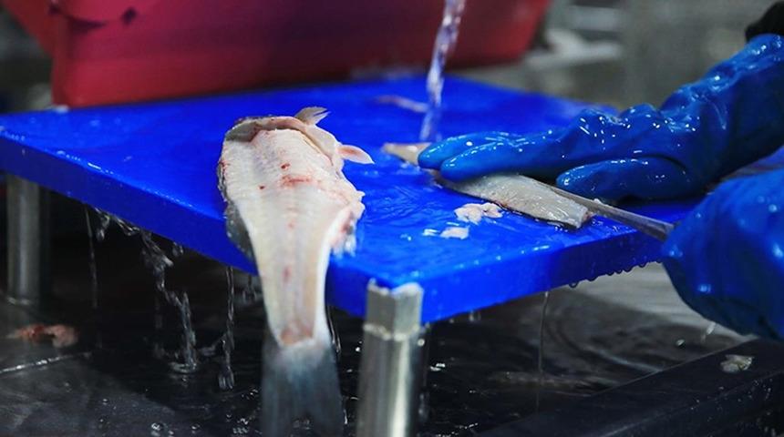 Muğla'dan yılın ilk &ccedil;eyreğinde 198 milyon dolarlık balık ihracatı yapıldı