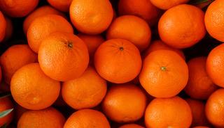 T&uuml;rkiye yılın ilk &ccedil;eyreğinde en fazla mandalinayı Irak'a, limonu Rusya'ya sattı