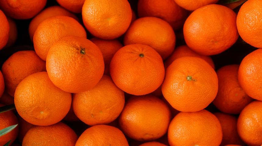 T&uuml;rkiye yılın ilk &ccedil;eyreğinde en fazla mandalinayı Irak'a, limonu Rusya'ya sattı