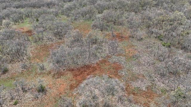 Mezar yeri bulundu! G&uuml;listan Doku aramasında  ter&ouml;r &ouml;rg&uuml;t&uuml;  ihtimali 7