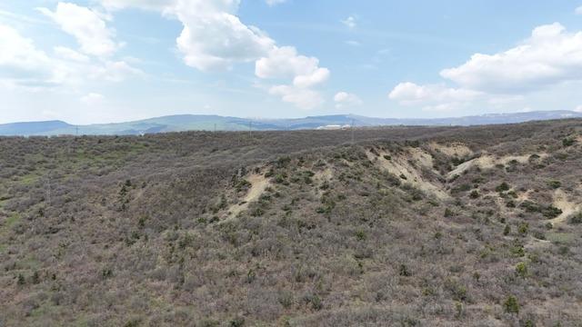 Mezar yeri bulundu! G&uuml;listan Doku aramasında  ter&ouml;r &ouml;rg&uuml;t&uuml;  ihtimali 5