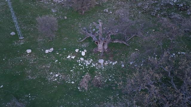 Mezar yeri bulundu! G&uuml;listan Doku aramasında  ter&ouml;r &ouml;rg&uuml;t&uuml;  ihtimali 4