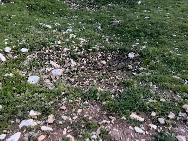 Mezar yeri bulundu! G&uuml;listan Doku aramasında  ter&ouml;r &ouml;rg&uuml;t&uuml;  ihtimali 3