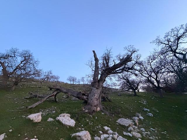 Mezar yeri bulundu! G&uuml;listan Doku aramasında  ter&ouml;r &ouml;rg&uuml;t&uuml;  ihtimali 2