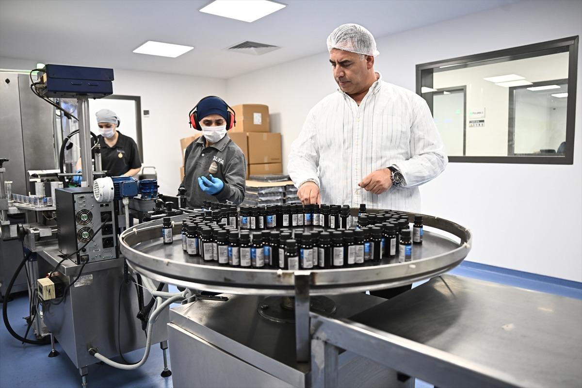 Antalya&rsquo;da işe başladılar: O sekt&ouml;rde ABD&rsquo;ye şirket kuran ilk firma! 2