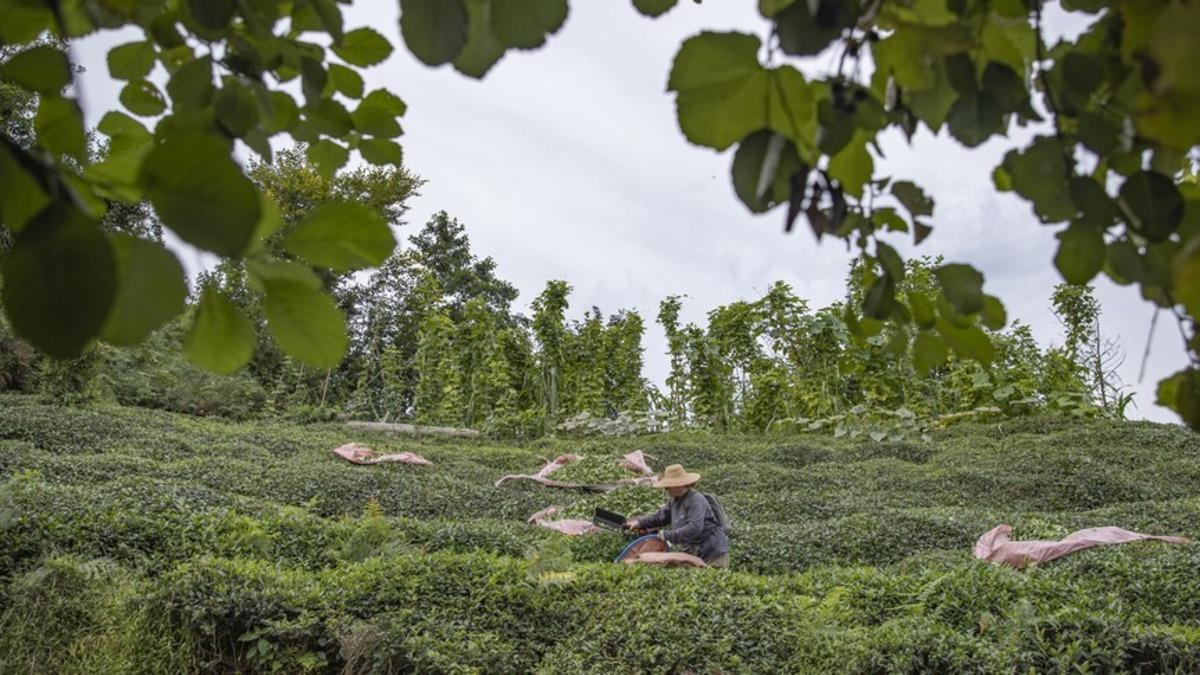 O illerde yaşayanlar dikkat: 18 şehre dev destek! Detaylar belli oldu 3